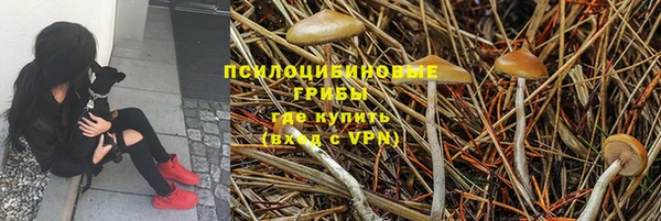 дмт Майский