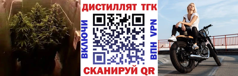 купить наркотики цена  Ленинск-Кузнецкий  ТГК вейп 