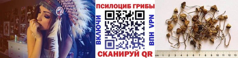 мориарти клад  Ленинск-Кузнецкий  Галлюциногенные грибы мухоморы  где можно купить  